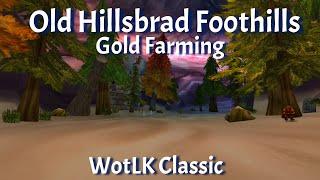 Old Hillsbrad Foothills--Gold Farming--WotLK Classic