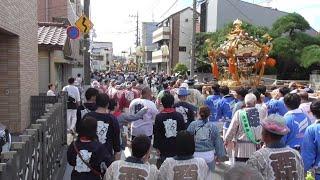 糀谷地区例大祭_3の2・第３９回糀谷祭　三社神輿渡御 20230903