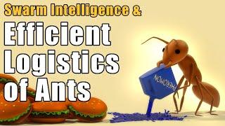 Efficient Logistics of Ants & Swarm Intelligence  #VeritasiumContest