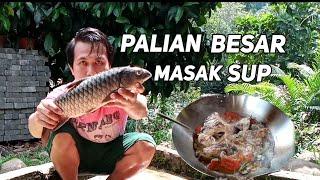 Beli Ikan Palian Besar 1kg RM 47 Masak Sup Serai  Mantap