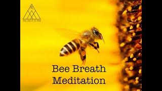 Spirit Child of the Moon - Bee Breath Meditation