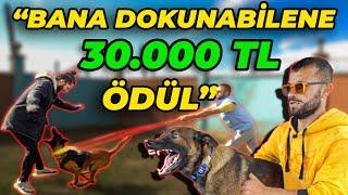 KÖPEĞİM BENİ KORURKEN HİÇ KİMSE BANA YAKLAŞAMAZ - Soner Hastanelik Oldu  Puppy Malinois TR