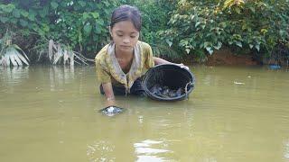 Poor girl - Harvesting clams go to the market to sell Harvesting cassava - Green forest life