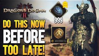 Dragons Dogma 2 - Ultimate Farm Tips 3 Best Ways To get GOLD LEVELS & Lots of Ferrystones Fast