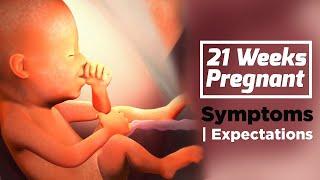 21 Weeks Pregnant Baby Development  Health Care Tips For Pregnant Women