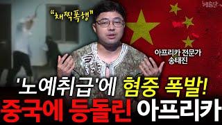 중국에 질려버린 아프리카 혐중 대통령까지 등장? l 아프리카 전문가 송태진 l 혜윰달 생각을 비추다