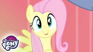 My Little Pony Deutsch  Fluttershy setzt sich durch  Freundschaft ist Magie  Ganze Folge MLP