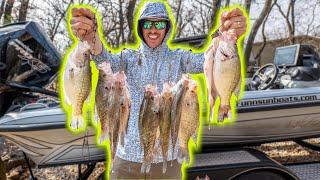 Winter Crappie Catch & Cook  Jig Fishing Cold Water