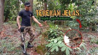 Pencarian Harta Karun Di Hutan Bekas Penjajahan  Metal Detector JEJAK KUNO