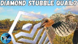 Did We Just Find Our First Diamond Stubble Quail?  TheHunter Call Of The Wild