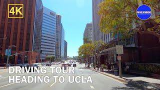 Rodeo Drive to UCLA Campus  Wilshire Blvd  4K - Driving Tour