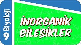 9. Sınıf Biyoloji İnorganik Bileşikler #2022