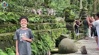 AIRRIU EDUVENTURE  Monkey Forest Ubud