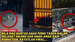 BILA IBU ANJING HANTAR ANAK-ANAK “TASKA”… GELAGAT DENGAN ANAK2 RAIH PERHATIAN PATUTLAH VIRAL..