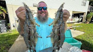 Catching HUGE SHRIMP in my CASTNET Shrimp n Grits  CASTNET CLEAN COOK 