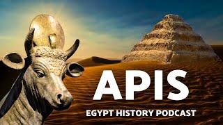 The Most Sacred Animal in History? APIS Bull Full Story  Egypt History Podcast