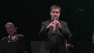 Albinoni - Oboe Concerto in D minor Op. 9 No. 2 - Ramon Ortega oboe - Zagreb Soloists