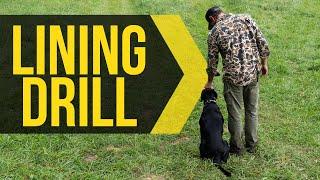 Teach lining drills with your dog