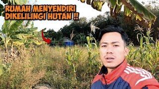 MISTERIUS  DIKIRA RUMAH KOSONG TERNYATA ADA ORANG PULUHAN TAHUN TINGGAL DITENGAH HUTAN