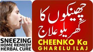 chiko  cheenko  cheenk aane ka jadi butiyon  se ilaj - چھینکوں کا جڑی بوٹیوں سے علاج