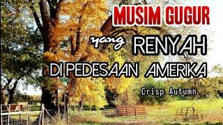 Suasana musim gugur pedesaan Amerika - Musim gugur yang renyah - Crisp Autumn - Hetti White