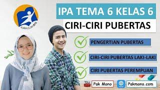 RANGKUMAN IPA KELAS 6 TEMA 6 SUBTEMA 1 2 DAN 3- CIRI-CIRI PUBERTAS LAKI-LAKI DAN PEREMPUAN