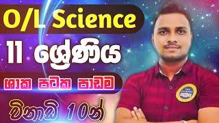 OL Science Sinhala  Grade 11 Science  ජීවී පටක  Unit 1  11 ශ්‍රේණිය 1 පාඩම  11 විද්‍යාව  2021