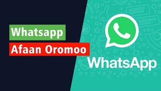 WhatsApp Afaan Oromootin hojii eegale Baga Gammaddan jecha amma Afaan oromooti jijiiradha
