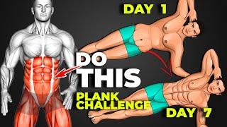 Get A 6 Pack  Top 9 Planks To Trim Sides