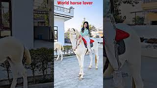 PUNJAB GIRL HORSE RIDE. INDIAN GIRL HORSE RIDE. #punjab #horse #horsegirl #ghoda #horselover #horses