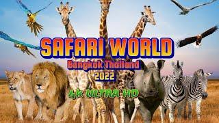 Safari World Bangkok 2022. The best zoo in Thailand 2022.