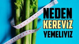 Neden KEREVİZ Yemeliyiz