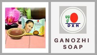 DXN GANOZHI SOAP DXN PRODUCTS