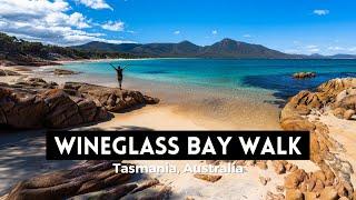 WINEGLASS BAY WALK - Tiger Snakes and Beautiful Beaches in Tasmanias Freycinet National Park