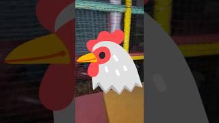 SI VOUS VOYEZ CETTE POULE DANS UN PARC DE JEUX COUREZ ET DEMANDEZ DE LAIDE #shorts #viral