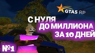 ПУТЬ С НУЛЯ ДО МИЛЛИОНА ЗА 10 ДНЕЙ НА GTA5RP ГТА5РП -  RichMan