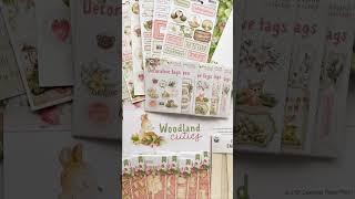 Woodland Cuties collection  P13 Paper Products  DT package unboxing  scrapbooking haul