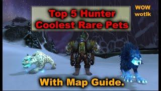 Hunter Coolest Rare Exotic Pets - World of Warcraft #worldofwarcraft #wotlk #warmane #hunterpets