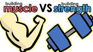 Building Muscle Vs Building Strength - Whats the Difference?