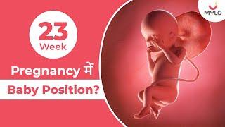 23 Weeks Pregnant Know About 23 Weeks Pregnant Baby Position  Mylo Family