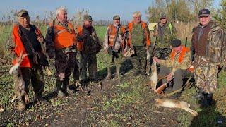 Ветераны на охоте по зайцу. Честь и хвала организаторам