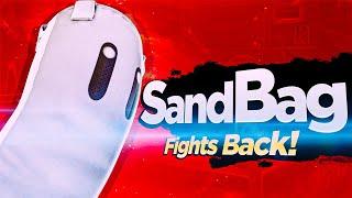 The Newest Smash Ultimate Fighter