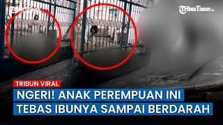  BREAKING NEWS Peristiwa Berdarah di Makassar Anak Tega Sabet Parang Ibunya di Halaman Rumah