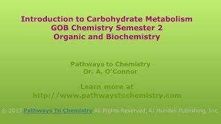 Introduction to Carbohydrate Metabolism