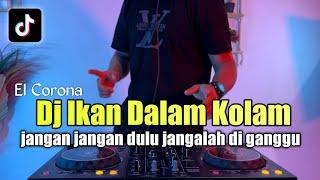 DJ IKAN DI DALAM KOLAM REMIX JANGAN JANGAN DULU JANGANLAH DIGANGGU TIKTOK