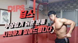 딥스DIPS 부상입기 쉬운자세 시원하게 짚어드립니다  지피티TV