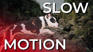 Shoot BETTER FILMS by recording 60FPS SLOW MOTION