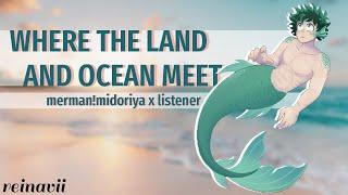 Where the Land and Ocean Meet  Midoriya Izuku x Listener  BNHA Fanfiction Reading ASMR