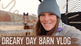 DREARY DAY BARN VLOG  Weekly Chores Cleaning Up Around the Barn Winter Feels & My Thoroughbred