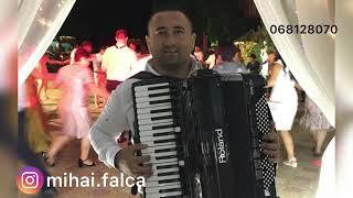 Mihai Falca - Lacrima tăcerii